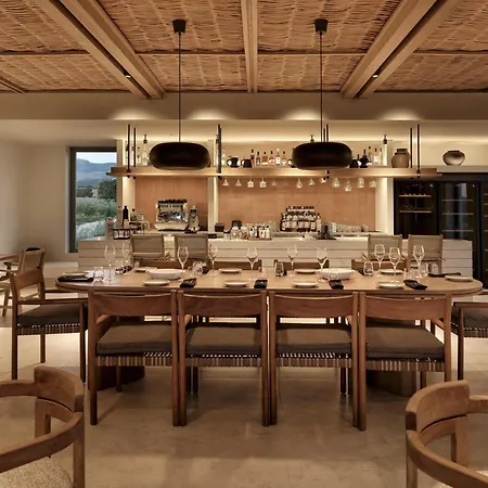 酒店 Parian Chronicle Paros, Destination By Hyatt 5*